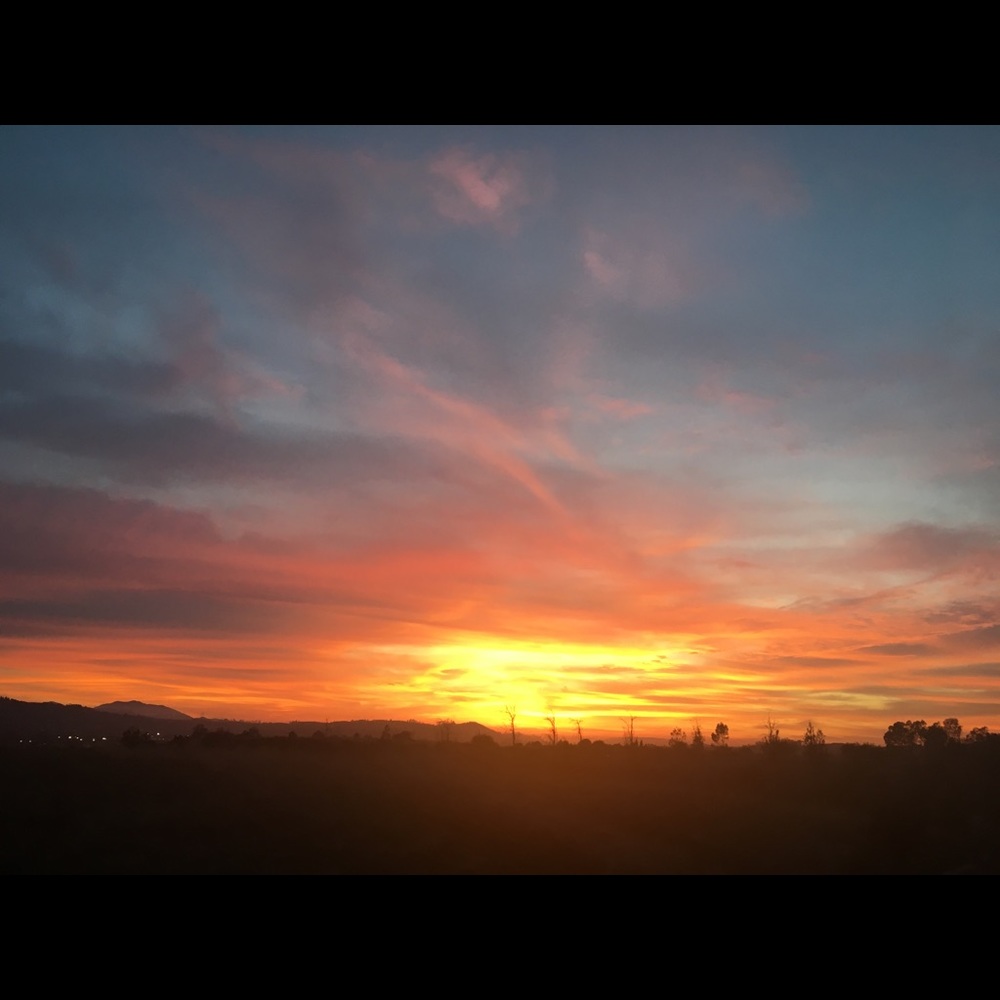 Meet your Posher, Elaine